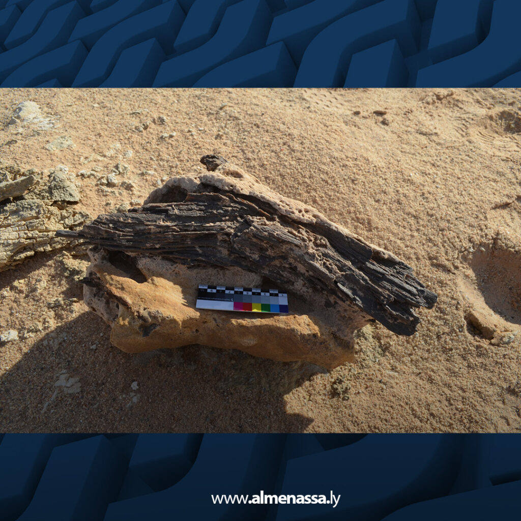 انطلاق أولى خطوات مشروع البحث "النيوجيني" في شرق ليبيا 1 extra Recovered 34.jpg2 34