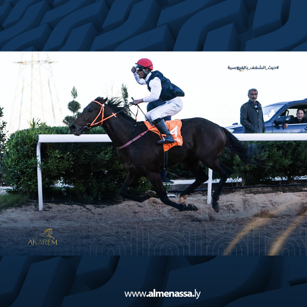 Extra 31.jpg3 31 أمجد السلامي يقود TUTTO TORNA لفوز جديد لإسطبلات أكارم على مضمار مصراتة