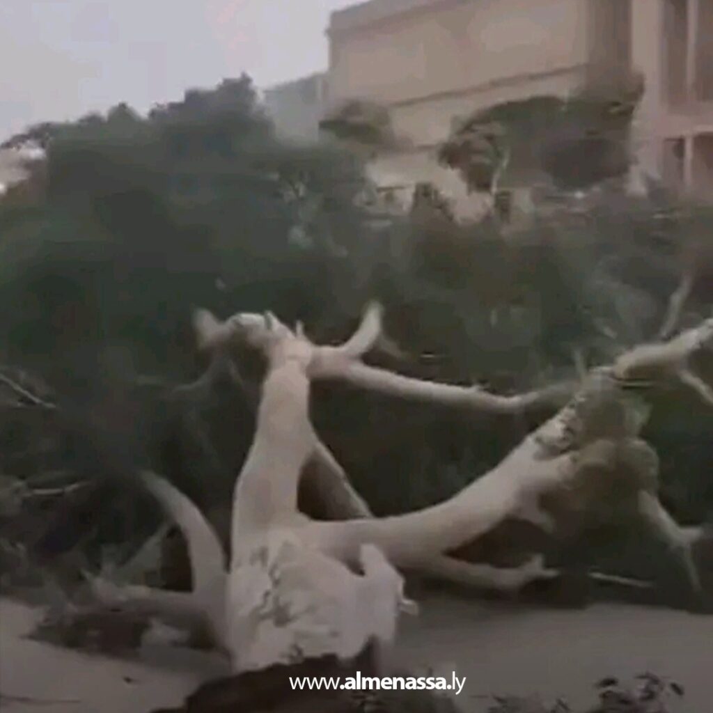 مراقب تعليم بنغازي يعلن الاربعاء والخميس عطلة لتجهيز المدارس بعد موجة الأتربة