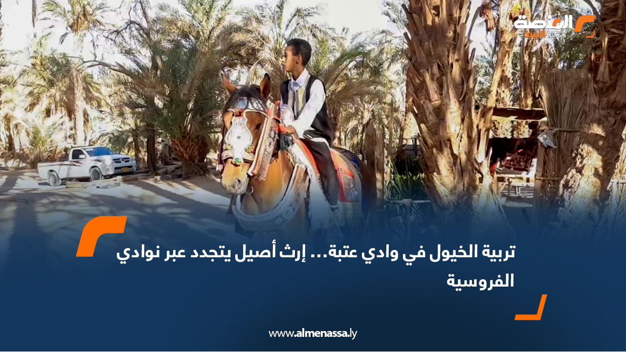 تربية الخيول في وادي عتبة… إرث أصيل يتجدد عبر نوادي الفروسية