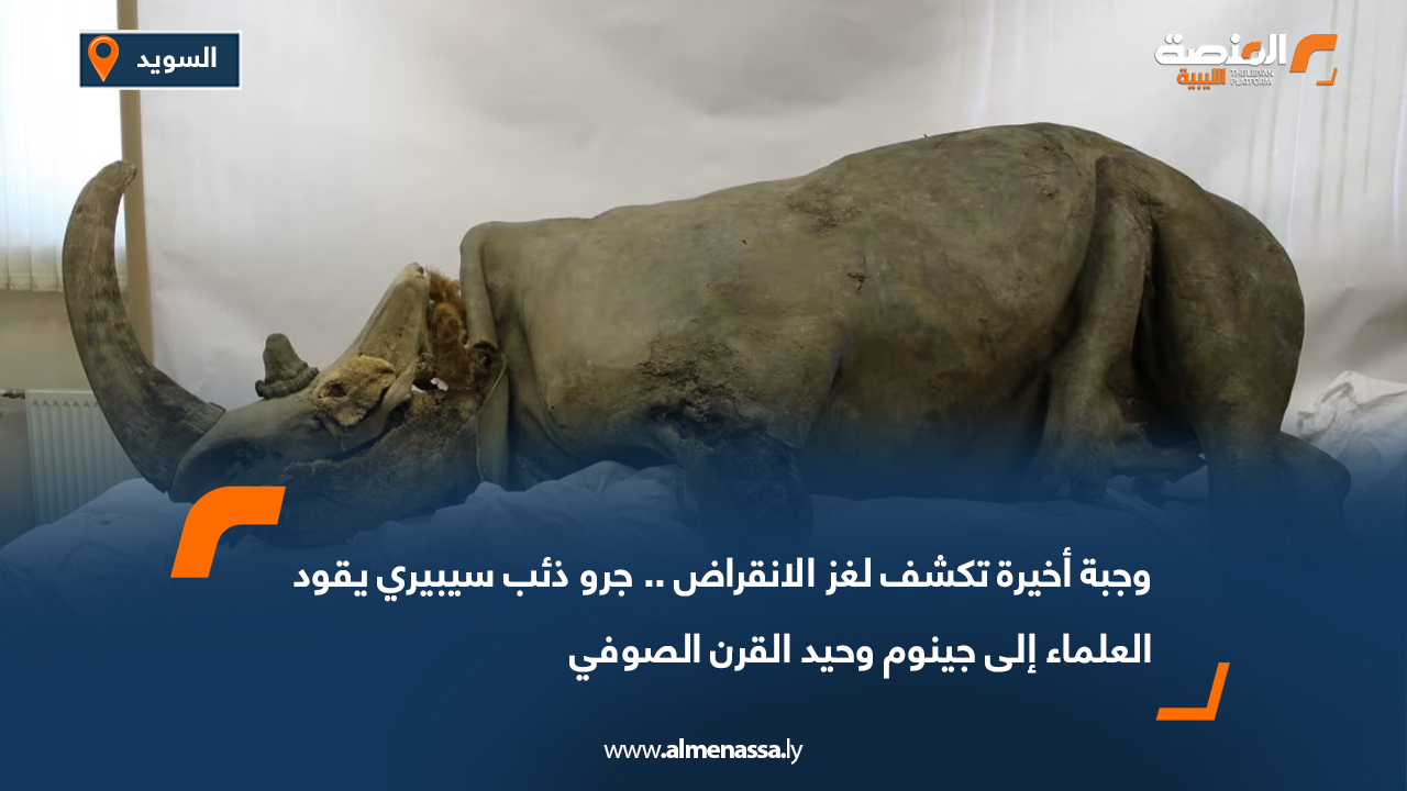 وجبة أخيرة تكشف لغز الانقراض.. جرو ذئب سيبيري يقود العلماء إلى جينوم وحيد القرن الصوفي