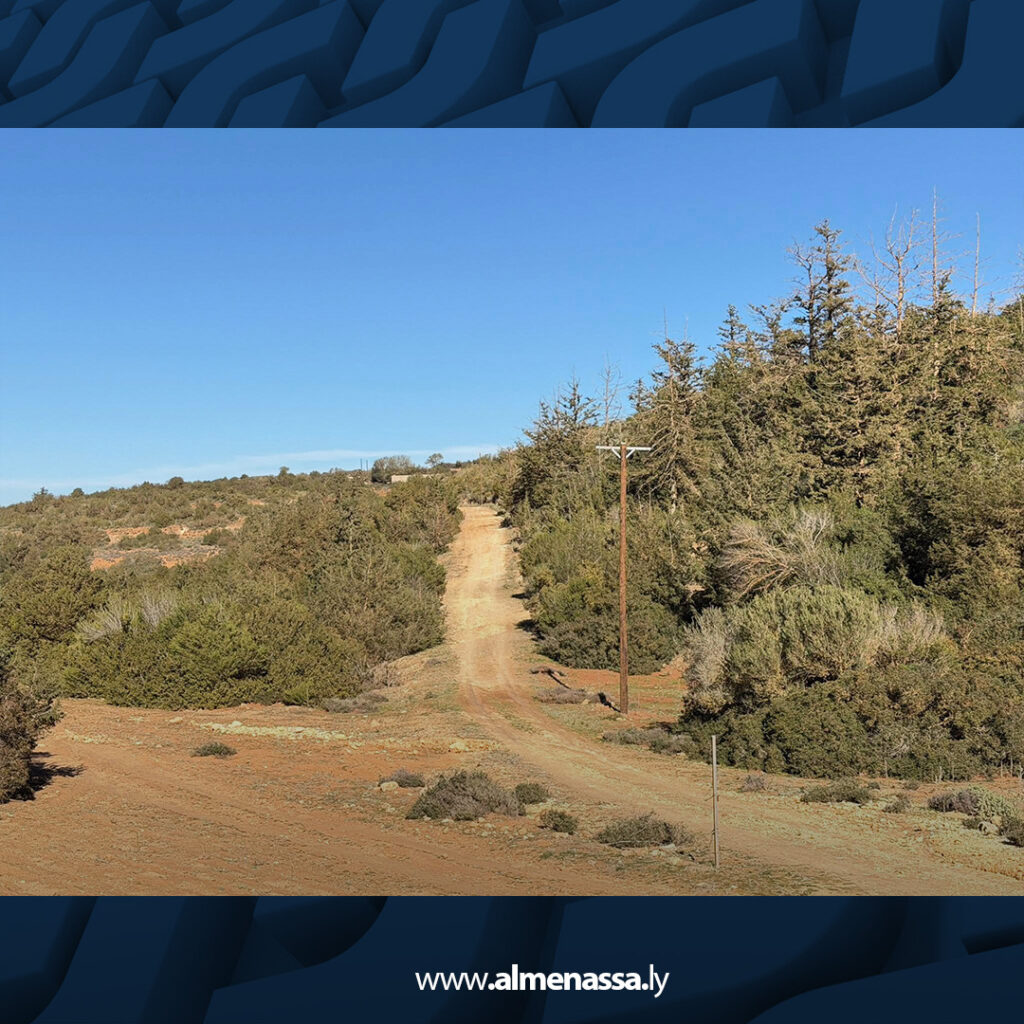 extra Recovered 3.jpg6 3