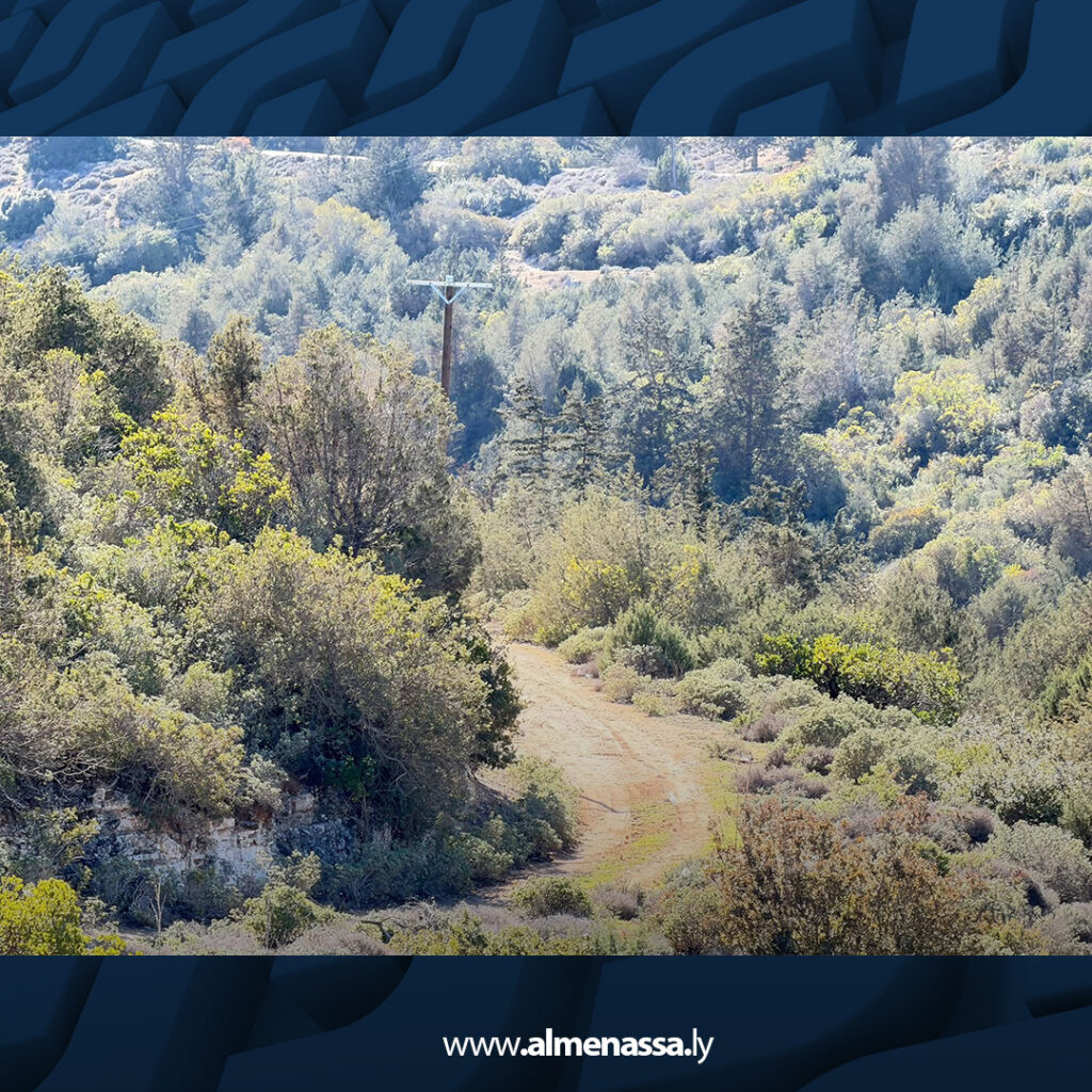 extra Recovered 4.jpg3 4