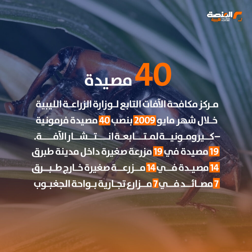 سوسة النخيل متى ظهرت في ليبيا؟ 7 08 copy