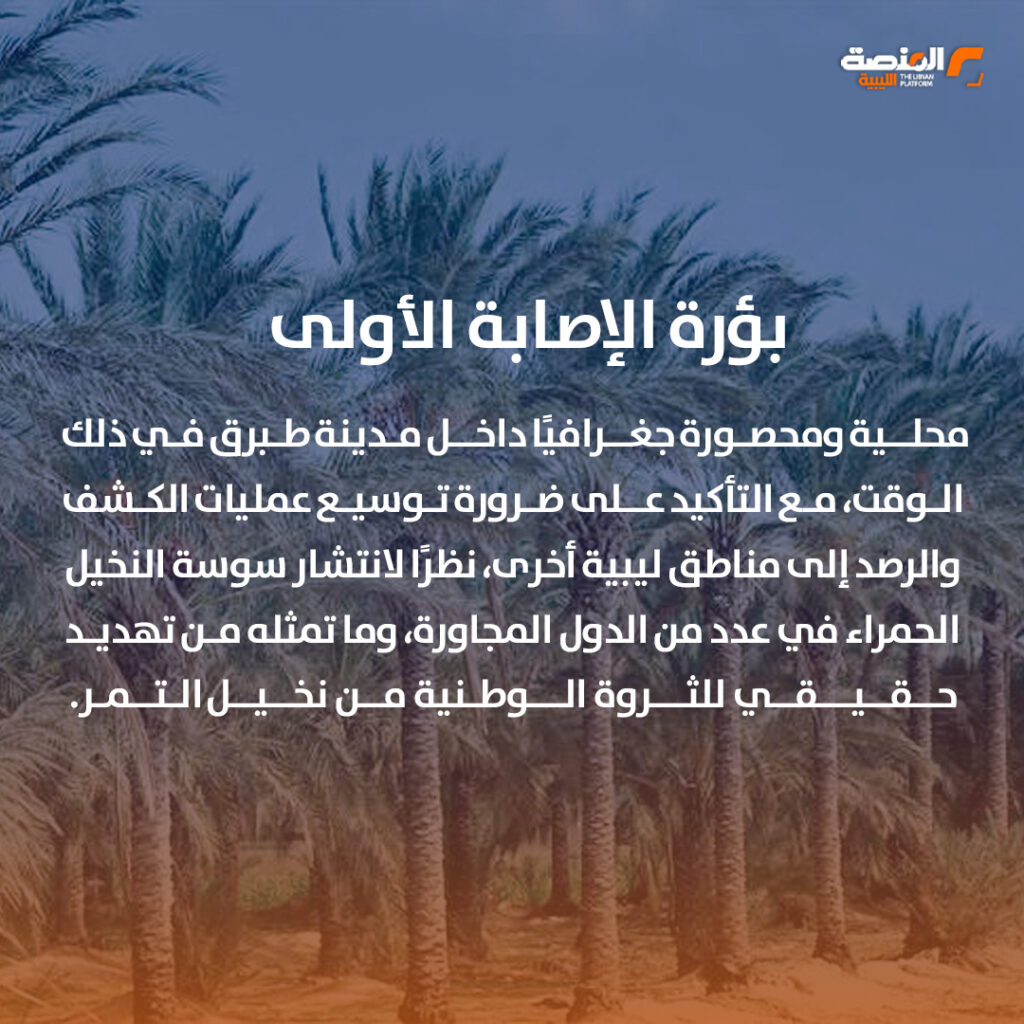 سوسة النخيل متى ظهرت في ليبيا؟ 9 10 copy