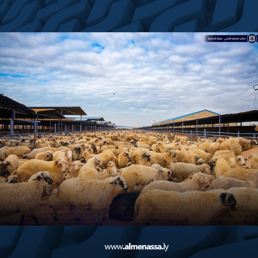 Extra 1.jpg23 1 جولات ميدانية للجنة متابعة أزمة الوقود والسلع التموينية لمتابعة عمليات التوزيع في مختلف المناطق