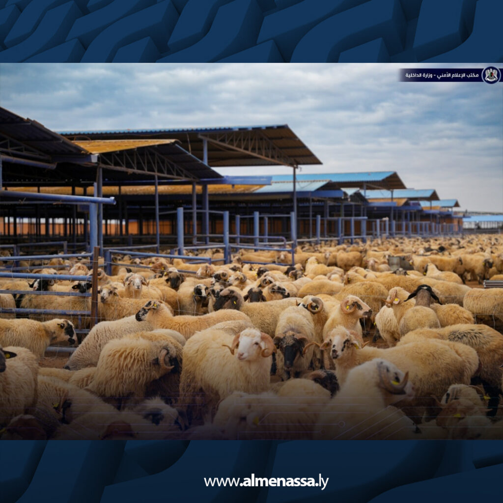 Extra 5.jpg17 5 جولات ميدانية للجنة متابعة أزمة الوقود والسلع التموينية لمتابعة عمليات التوزيع في مختلف المناطق