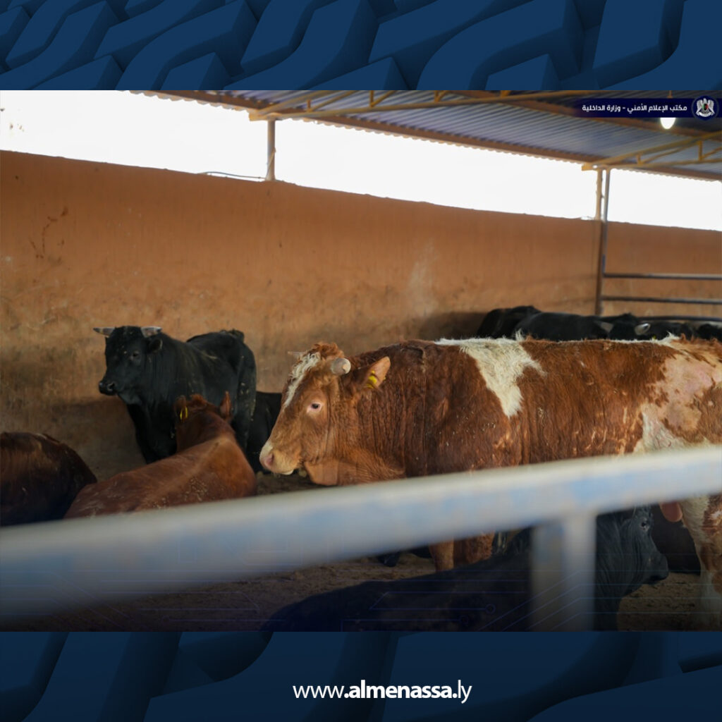 Extra 61.jpg2 61 جولات ميدانية للجنة متابعة أزمة الوقود والسلع التموينية لمتابعة عمليات التوزيع في مختلف المناطق