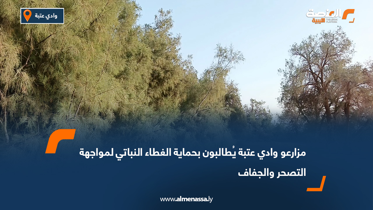 مزارعو وادي عتبة يُطالبون بحماية الغطاء النباتي لمواجهة التصحر والجفاف