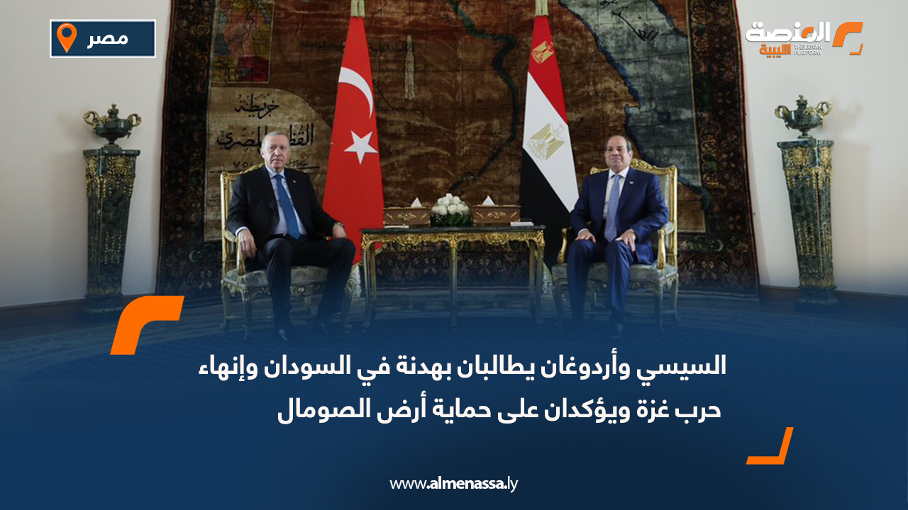 السيسي وأردوغان يطالبان بهدنة في السودان وإنهاء حرب غزة ويؤكدان على حماية أرض الصومال