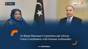 Al-Baour Discusses Cooperation and African Union Coordination with Guinean Ambassador