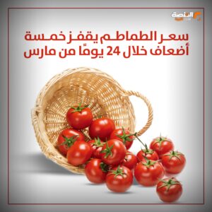 سعر الطماطم يقفز خمسة أضعاف خلال 24 يوماً من مارس