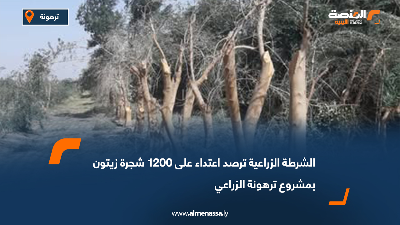 الشرطة الزراعية ترصد اعتداء على 1200 شجرة زيتون بمشروع ترهونة الزراعي