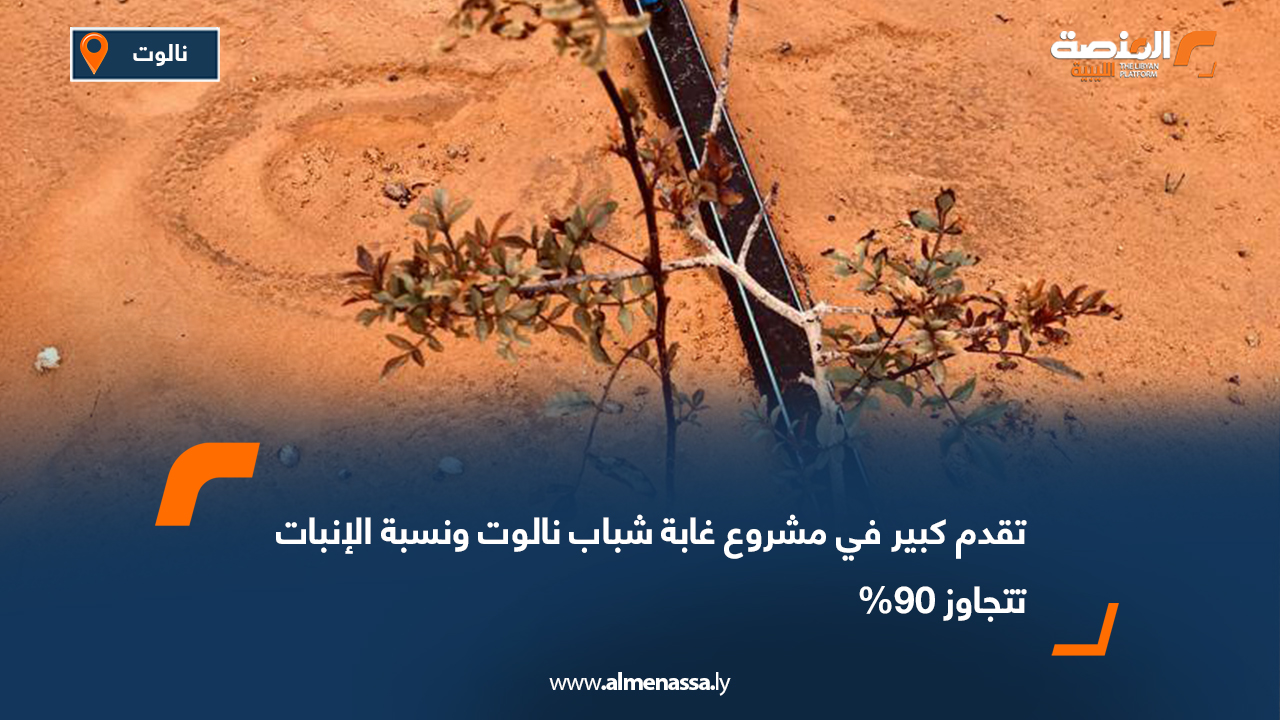 تقدم كبير في مشروع غابة شباب نالوت ونسبة الإنبات تتجاوز 90%