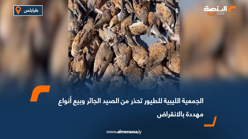 الجمعية الليبية للطيور تحذر من الصيد الجائر وبيع أنواع مهددة بالانقراض