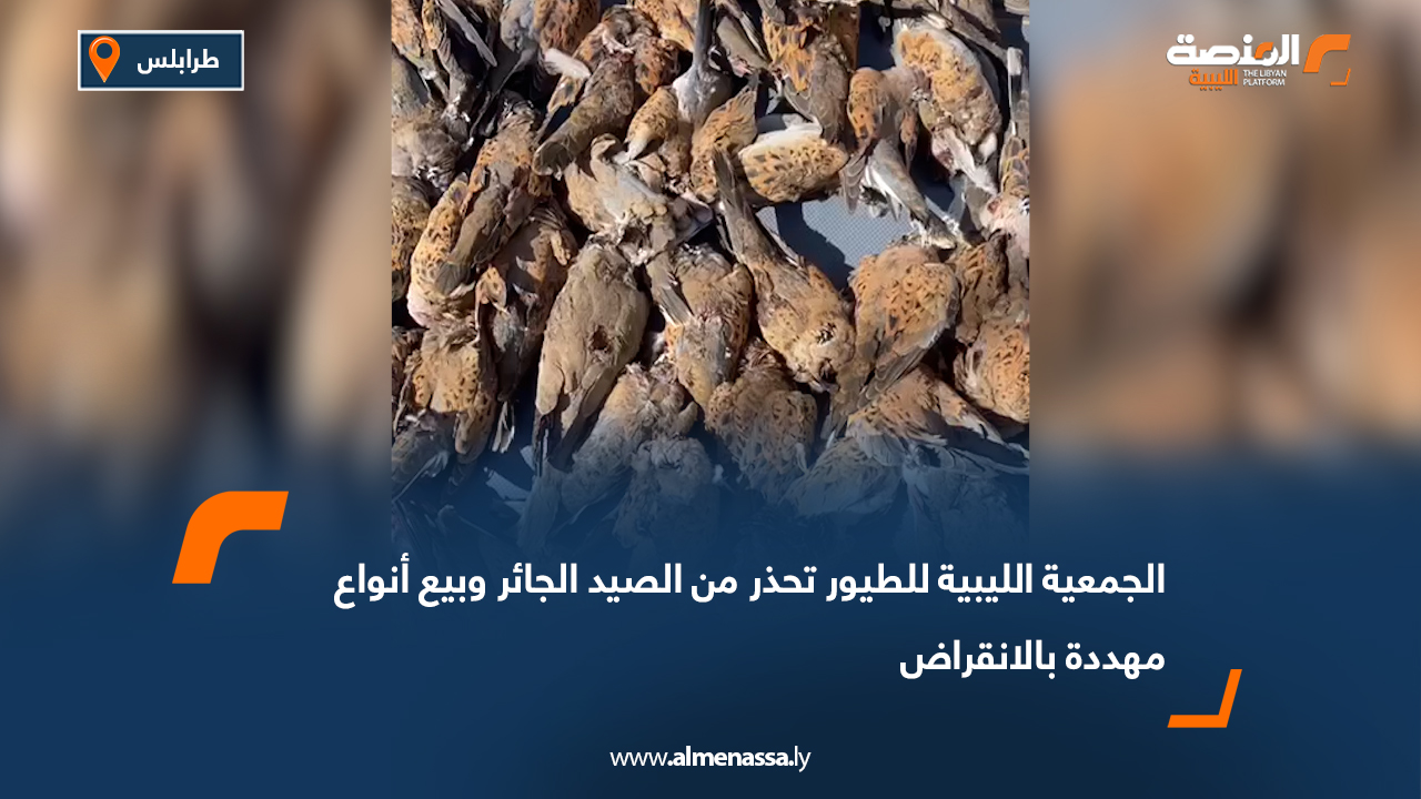 الجمعية الليبية للطيور تحذر من الصيد الجائر وبيع أنواع مهددة بالانقراض