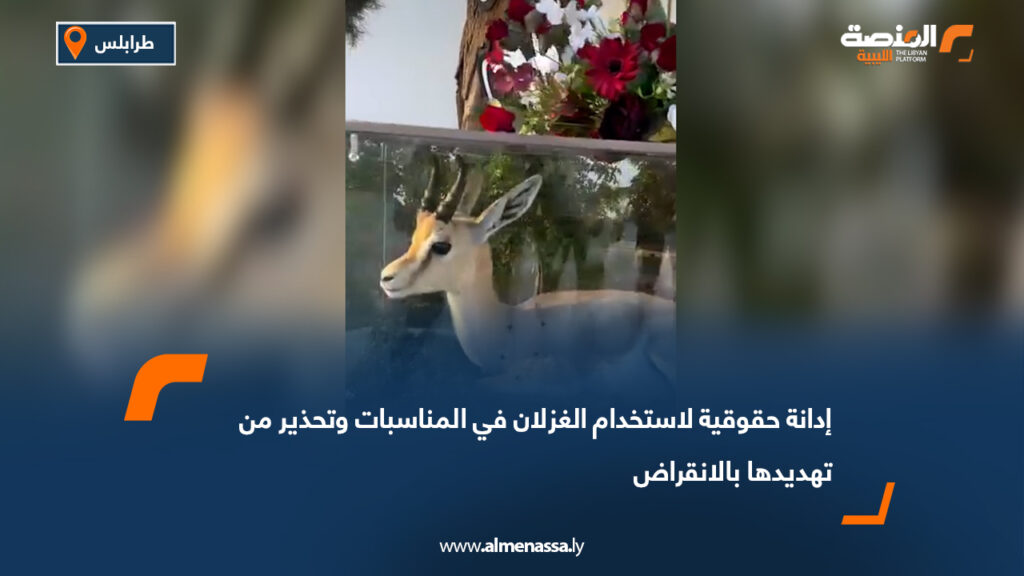 إدانة حقوقية لاستخدام الغزلان في المناسبات وتحذير من تهديدها بالانقراض