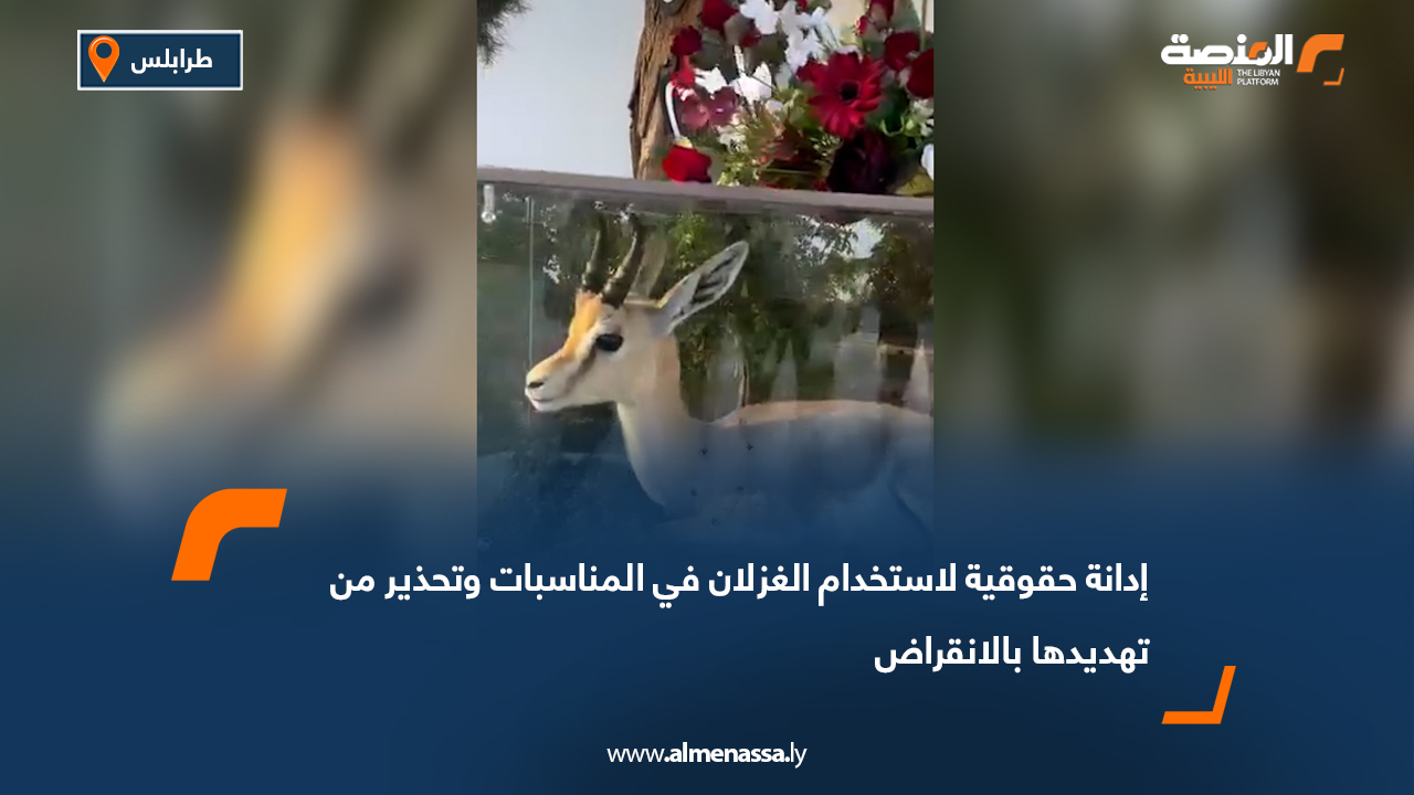 إدانة حقوقية لاستخدام الغزلان في المناسبات وتحذير من تهديدها بالانقراض