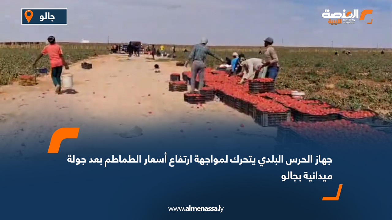 جهاز الحرس البلدي يتحرك لمواجهة ارتفاع أسعار الطماطم بعد جولة ميدانية بجالو