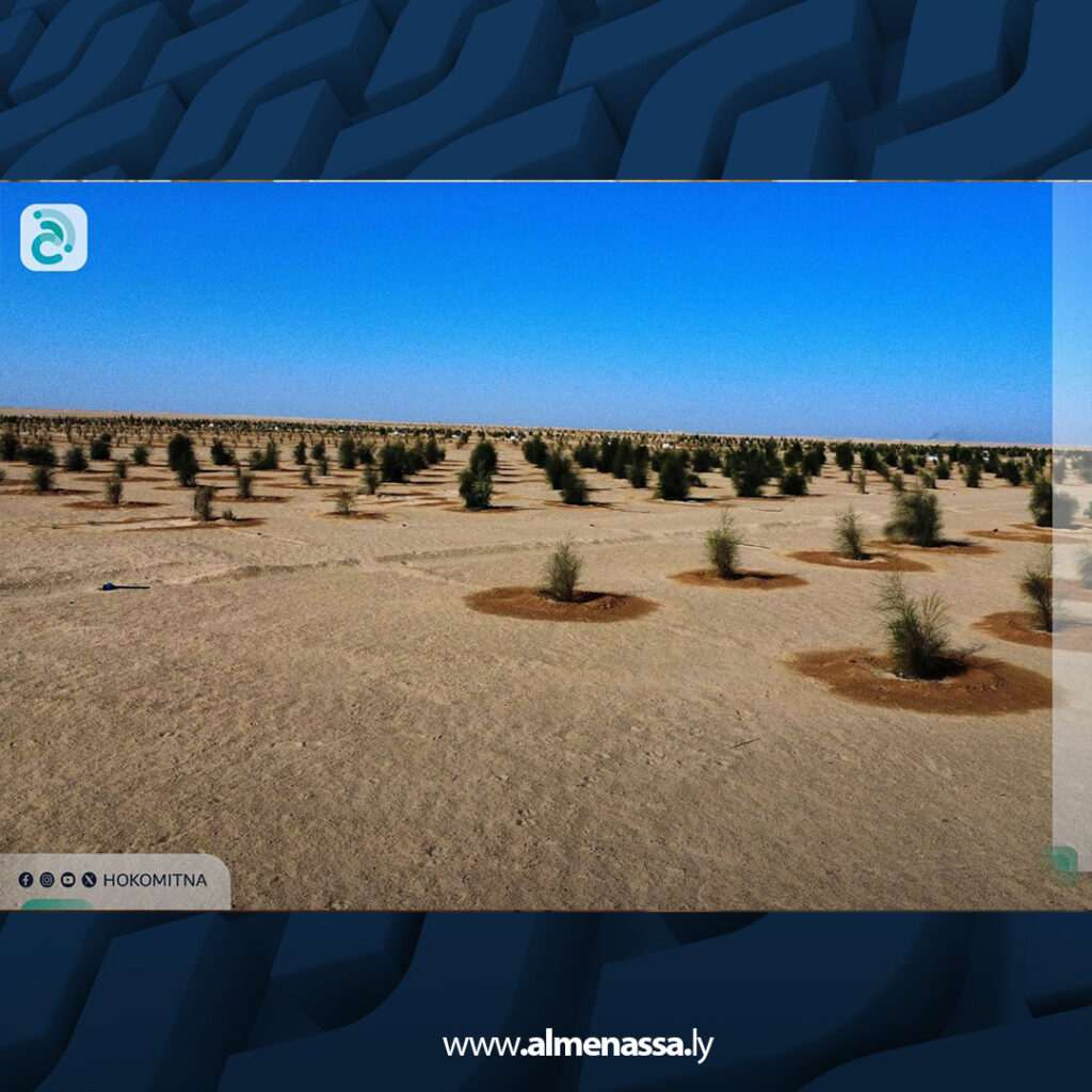 انطلاق أعمال تشجير 30 هكتارا حول حقل النافورة النفطي لدعم الاستدامة البيئية 6 extra Recovered 1.jpg7 1