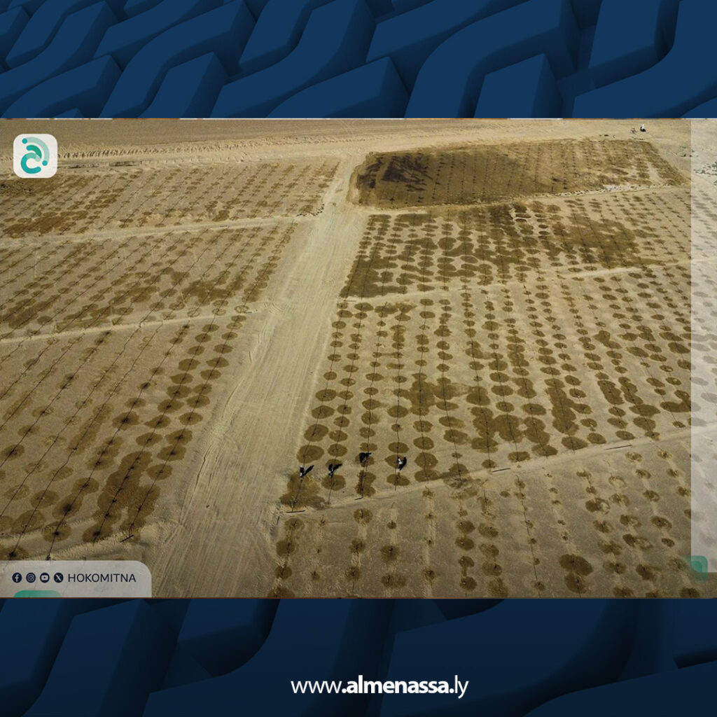 انطلاق أعمال تشجير 30 هكتارا حول حقل النافورة النفطي لدعم الاستدامة البيئية 7 extra Recovered 1.jpg8 1