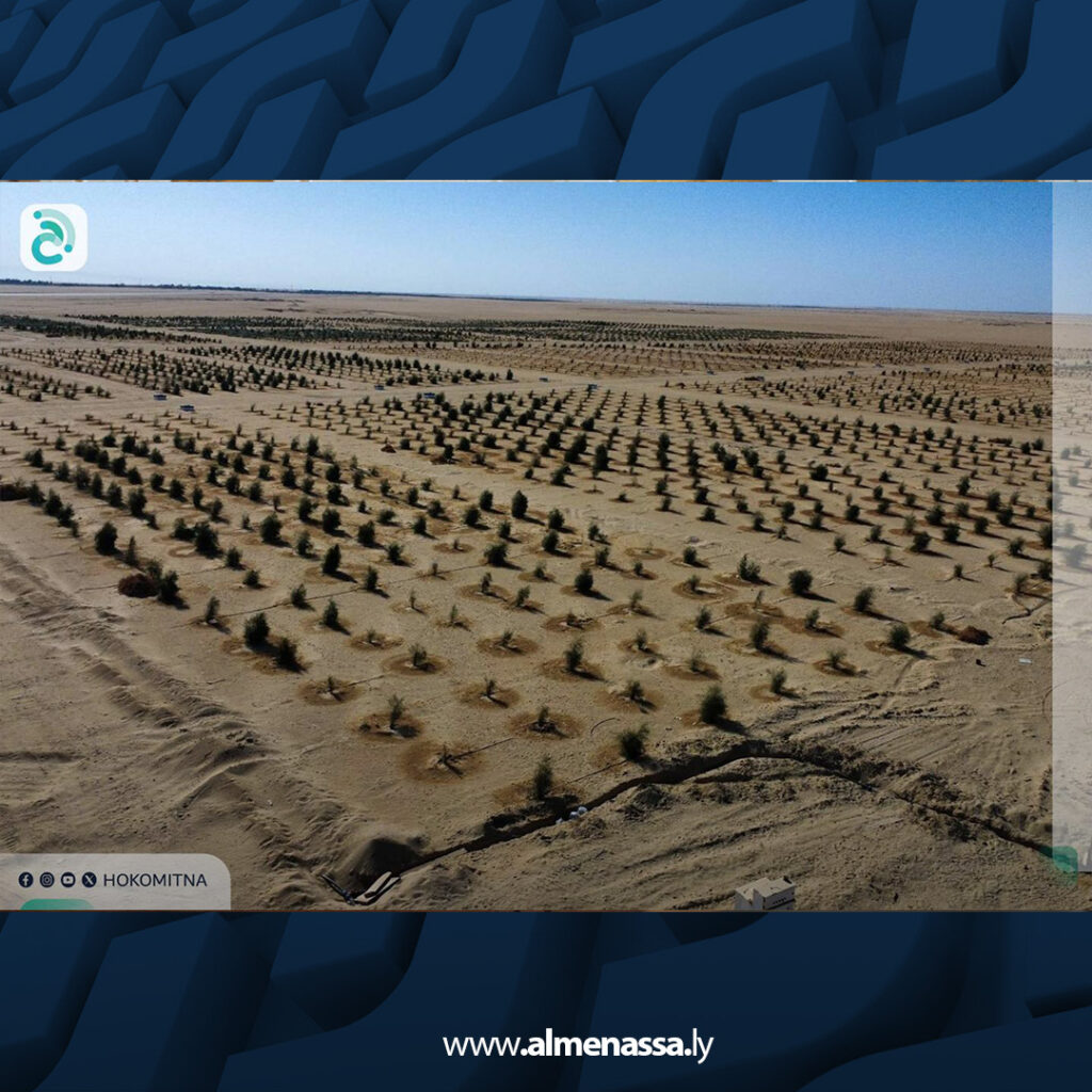 انطلاق أعمال تشجير 30 هكتارا حول حقل النافورة النفطي لدعم الاستدامة البيئية 5 extra Recovered 2.jpg6 2