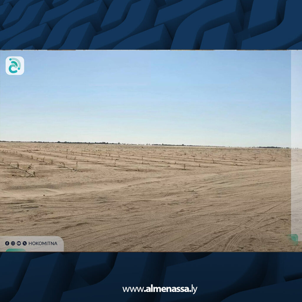 انطلاق أعمال تشجير 30 هكتارا حول حقل النافورة النفطي لدعم الاستدامة البيئية 3 extra Recovered 3.jpg4 3