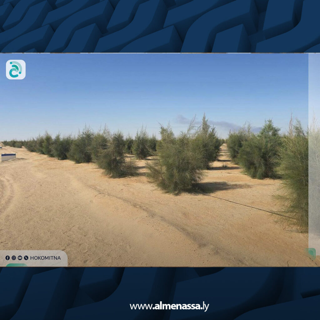 انطلاق أعمال تشجير 30 هكتارا حول حقل النافورة النفطي لدعم الاستدامة البيئية 4 extra Recovered 3.jpg5 3