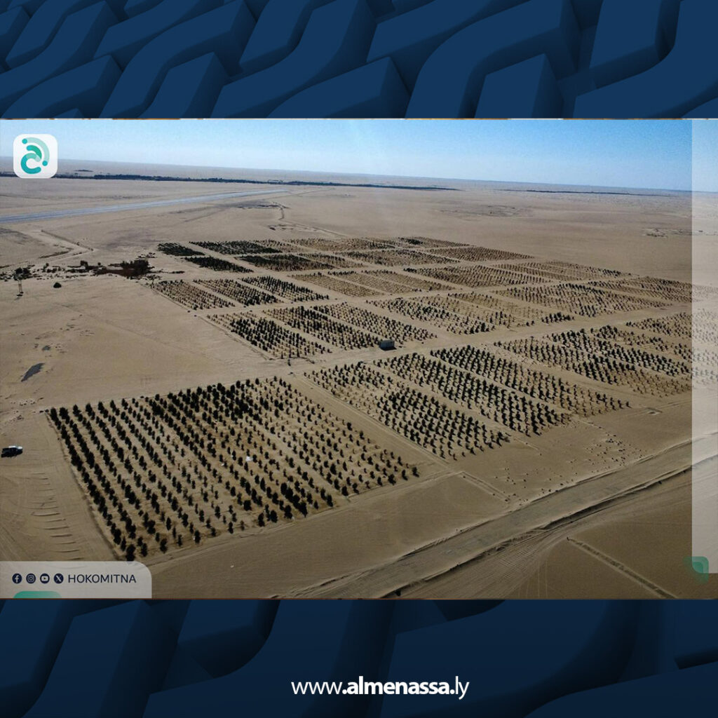 انطلاق أعمال تشجير 30 هكتارا حول حقل النافورة النفطي لدعم الاستدامة البيئية 1 extra Recovered 6.jpg2 6