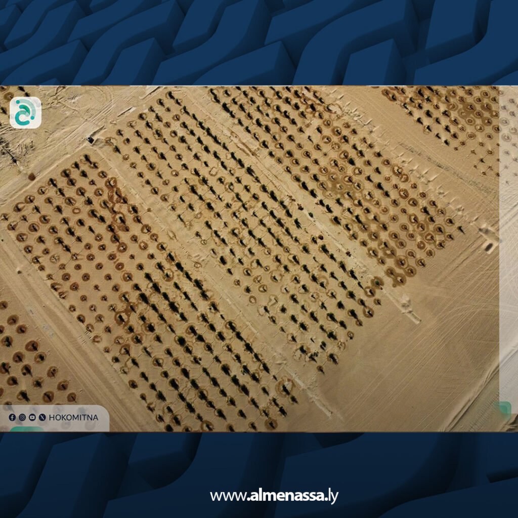 انطلاق أعمال تشجير 30 هكتارا حول حقل النافورة النفطي لدعم الاستدامة البيئية 2 extra Recovered 7.jpg3 7