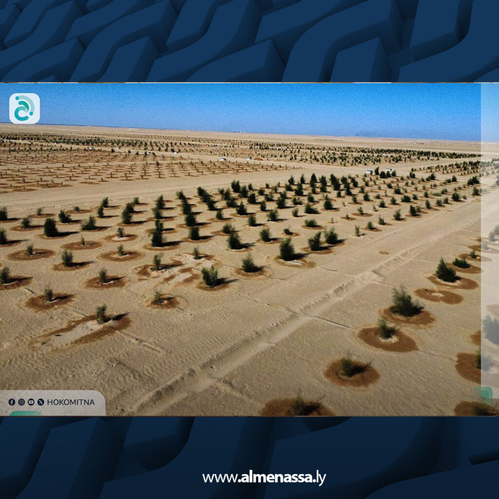 انطلاق أعمال تشجير 30 هكتارا حول حقل النافورة النفطي لدعم الاستدامة البيئية 8 extra Recovered.jpg9