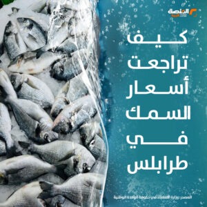 تراجع أسعار السمك بعد قرار حظر التصدير