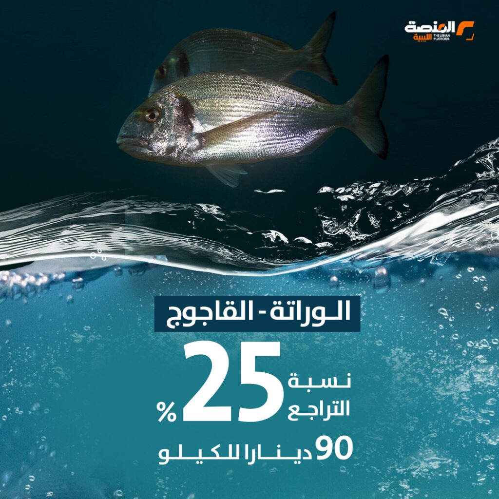 02 copy 5 تراجع أسعار السمك بعد قرار حظر التصدير