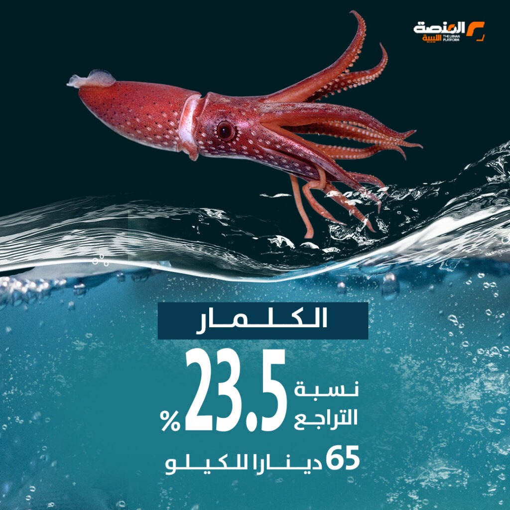 03 copy 5 تراجع أسعار السمك بعد قرار حظر التصدير