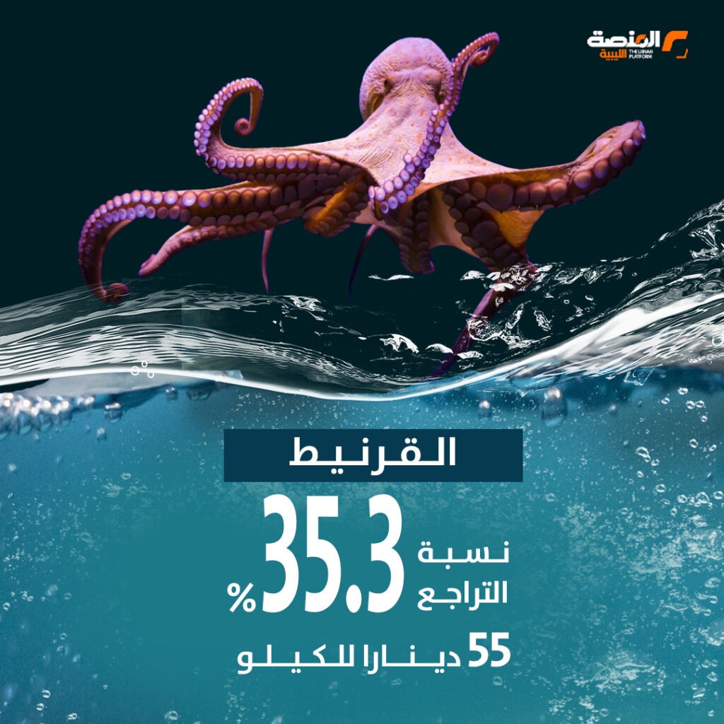 04 copy 5 تراجع أسعار السمك بعد قرار حظر التصدير