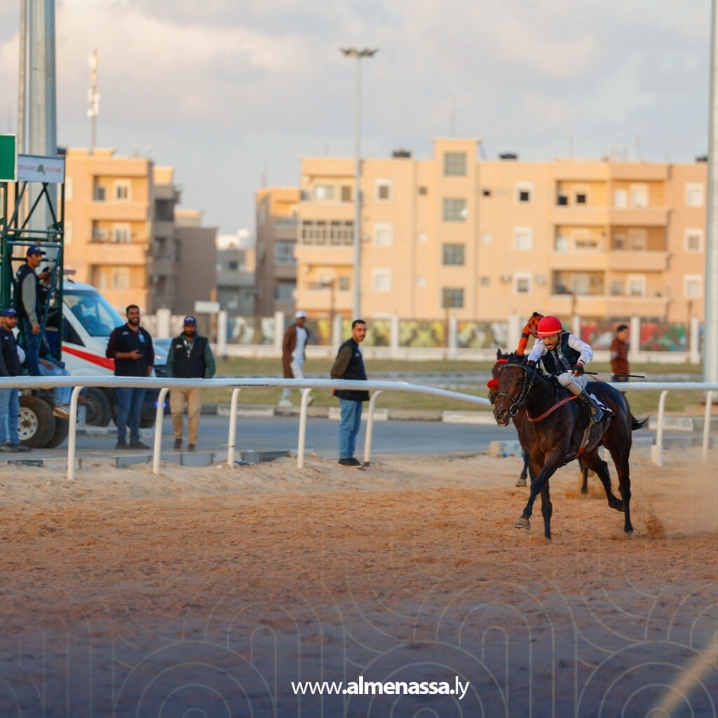 Extra03 7 الجواد “BOTHAR” لإسطبلات أكارم يحرز المركز الثاني في سباقات نادي الوطن التمهيدية