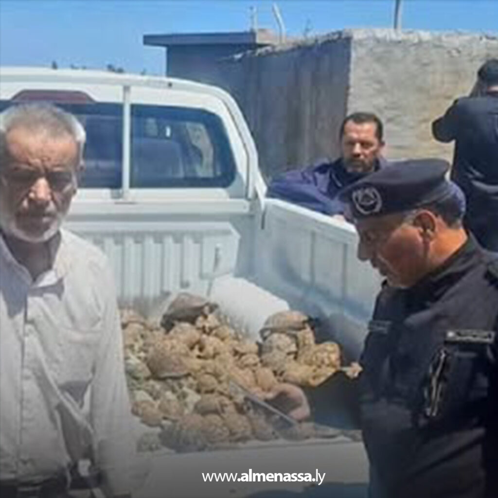 Extra 126.jpg2 126 منظمة البراري تحذر من تهريب السلاحف البرية وتؤكد خطورة استهداف الأنواع المهددة بالانقراض في ليبيا