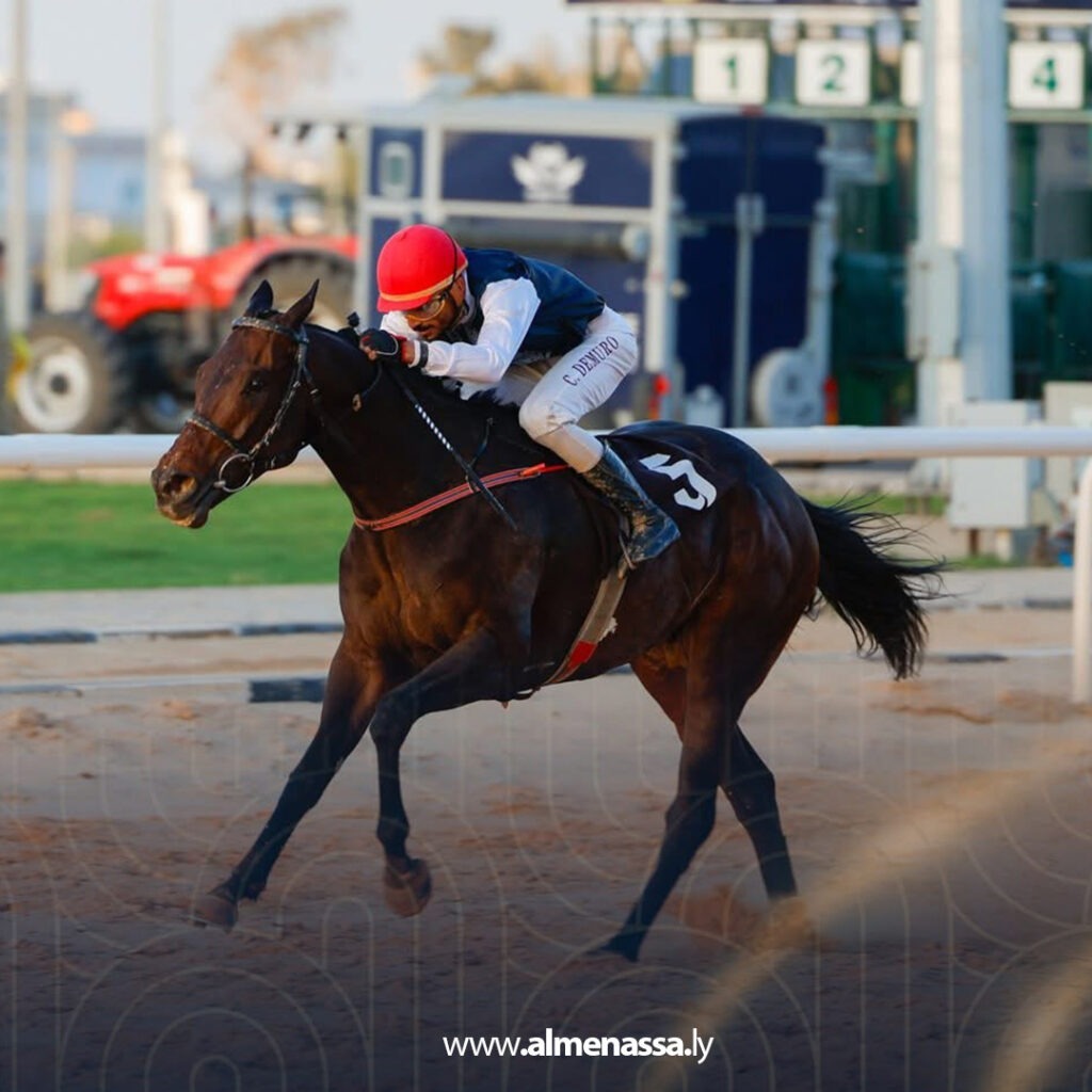 Extra 131.jpg2 131 الجواد “BOTHAR” لإسطبلات أكارم يحرز المركز الثاني في سباقات نادي الوطن التمهيدية