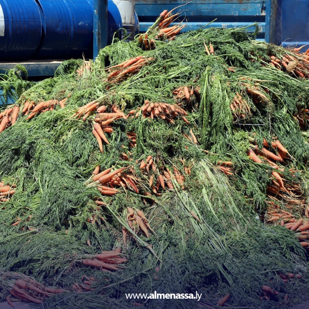 إحباط تهريب أكثر من 5 آلاف لتر ديزل عبر بوابة السلام الأمنية بالشاطئ 3 Extra 16.jpg11 16