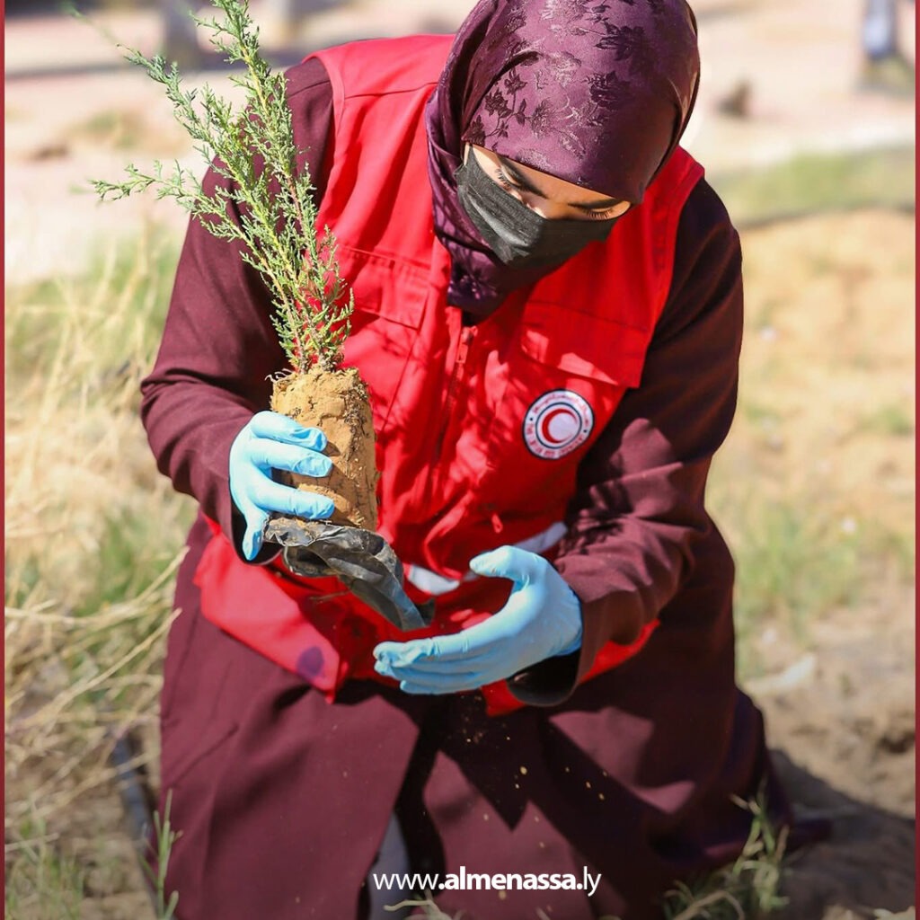 Extra 267 حملة تشجير بجامعة الزاوية ضمن مشروع غرسة لزراعة 1077 شجرة صنوبر وتركيب منظومة ري بالتنقيط