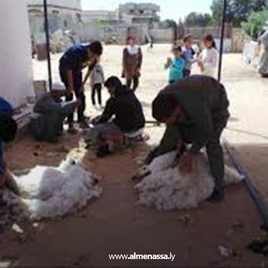 Extra 279.jpg1 279 موسم "الجلامة".. عُرس الربيع الذي يجمع التراث والعمل في البادية