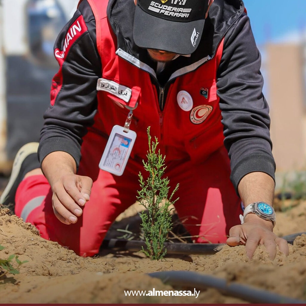 Extra 289.jpg1 289 حملة تشجير بجامعة الزاوية ضمن مشروع غرسة لزراعة 1077 شجرة صنوبر وتركيب منظومة ري بالتنقيط