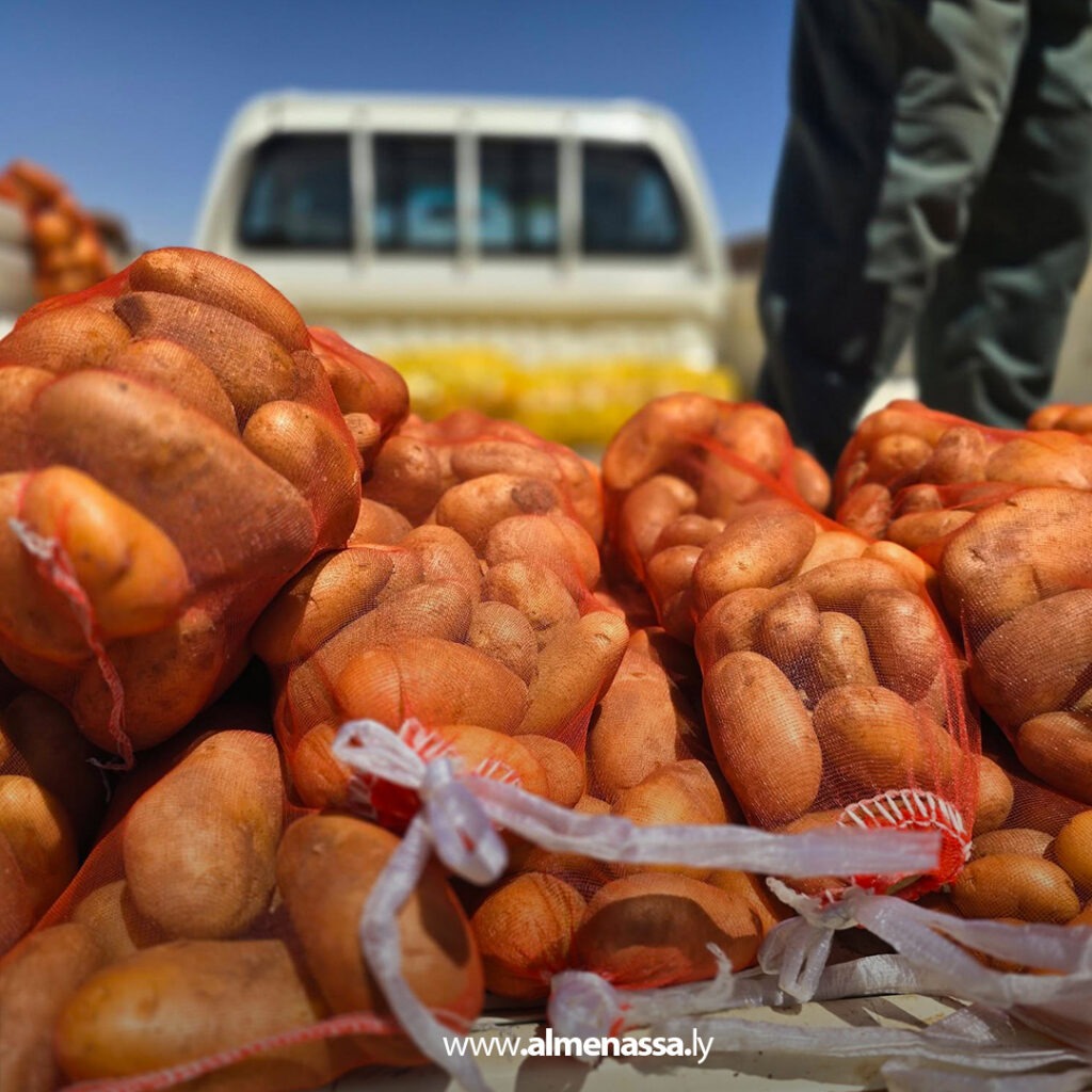 Extra 309 طرح البطاطا من مشروع الكفرة الزراعي بأسعار في متناول المواطنين ضمن جهود الأمن الغذائي