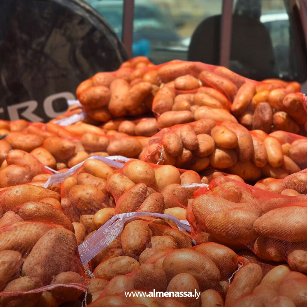 Extra 332.jpg1 332 طرح البطاطا من مشروع الكفرة الزراعي بأسعار في متناول المواطنين ضمن جهود الأمن الغذائي