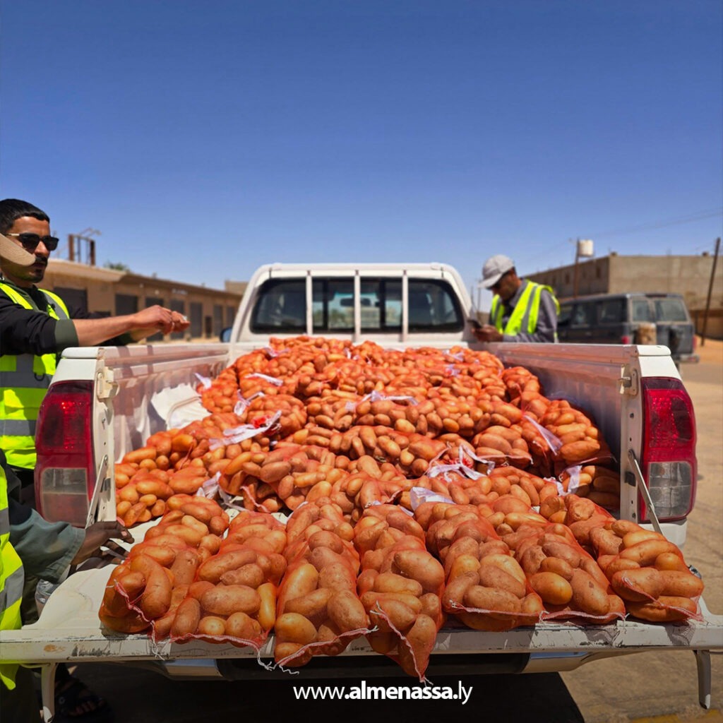 Extra 56.jpg111 56 طرح البطاطا من مشروع الكفرة الزراعي بأسعار في متناول المواطنين ضمن جهود الأمن الغذائي