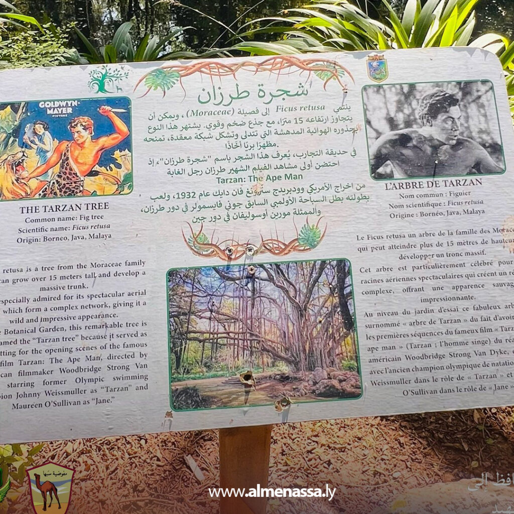 Extra 77.jpg11 77 مفوضية كشافة سبها تزور الجزائر: جولة في جامع الجزائر الأعظم وحديقة الحامة ومارينا مول