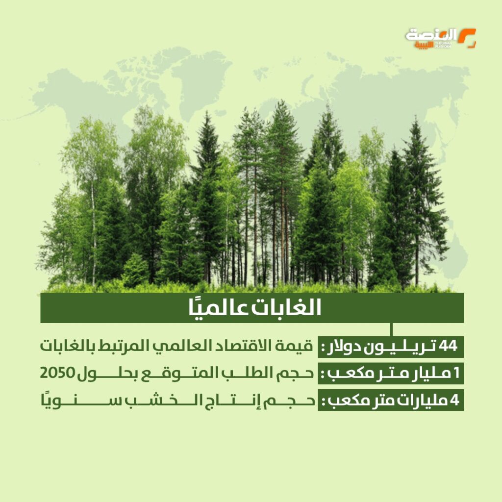 WhatsApp Image 2026 04 25 at 11.16.40 AM 1 الغابات عالمياً وفي ليبيا بالأرقام