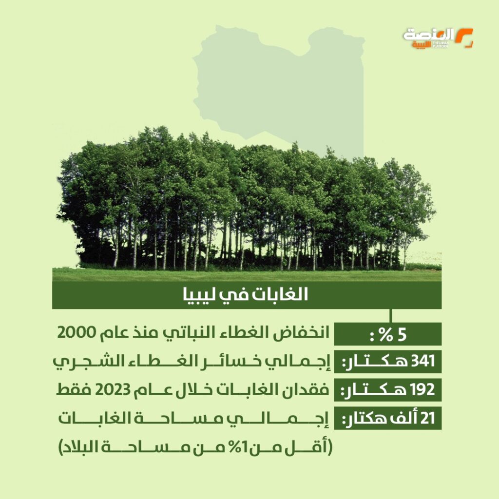 WhatsApp Image 2026 04 25 at 11.16.40 AM 2 الغابات عالمياً وفي ليبيا بالأرقام