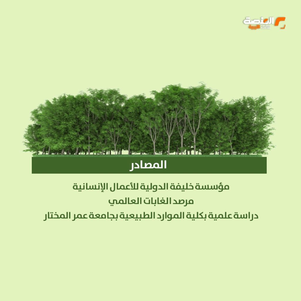 WhatsApp Image 2026 04 25 at 11.16.41 AM 7 الغابات عالمياً وفي ليبيا بالأرقام