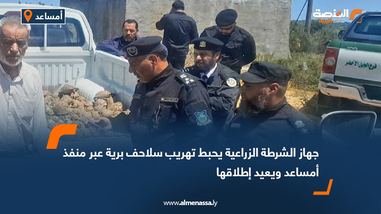 جهاز الشرطة الزراعية يحبط تهريب سلاحف برية عبر منفذ أمساعد ويعيد إطلاقها
